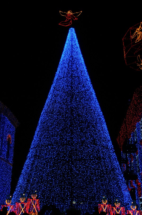 Tree of Lights